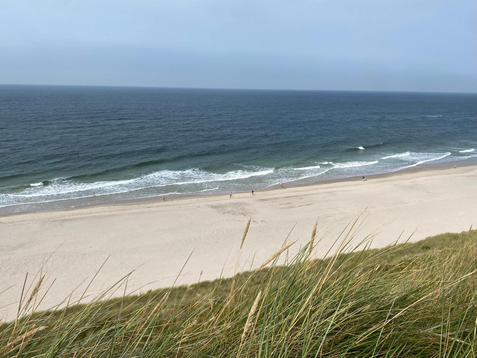 Kliffsand * Kampen